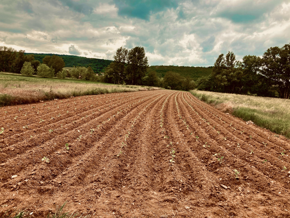 bio-denkt-und-macht-2